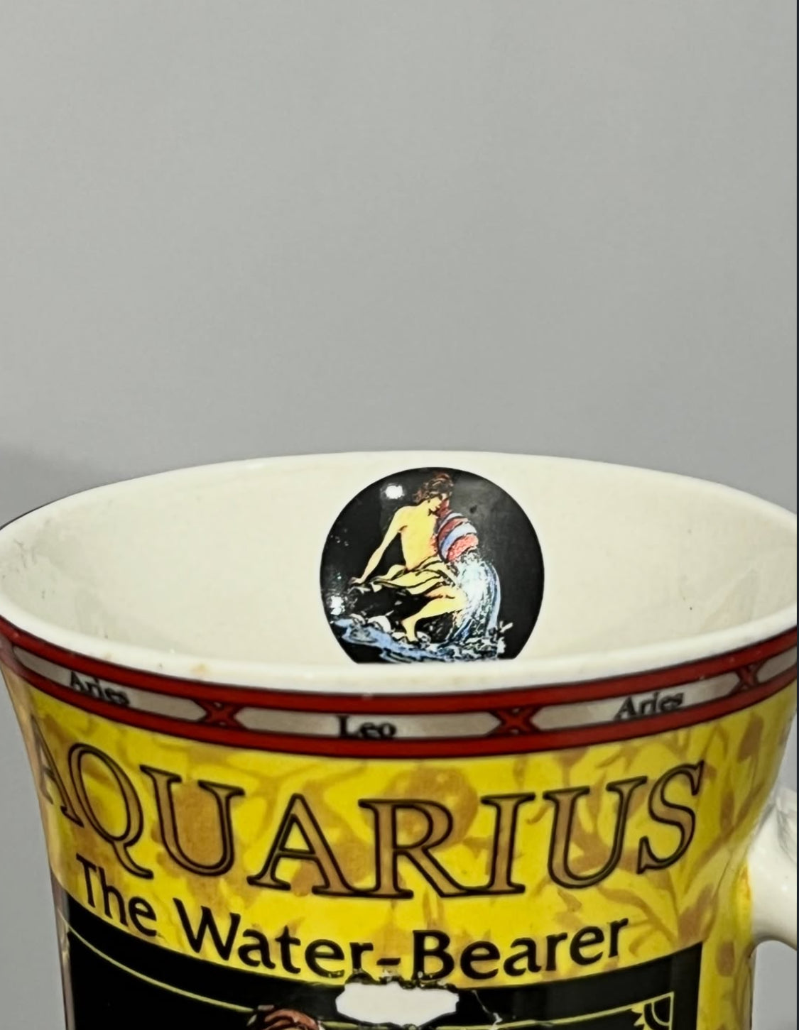 Zodiac - Aquarius Big Mug