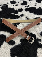 Brown Scaled Silver Buckle Belt