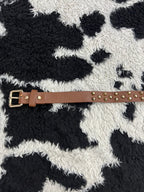 Brown Golden Studded Belt