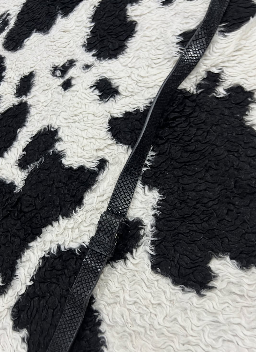 Silver Buckle Black Belt