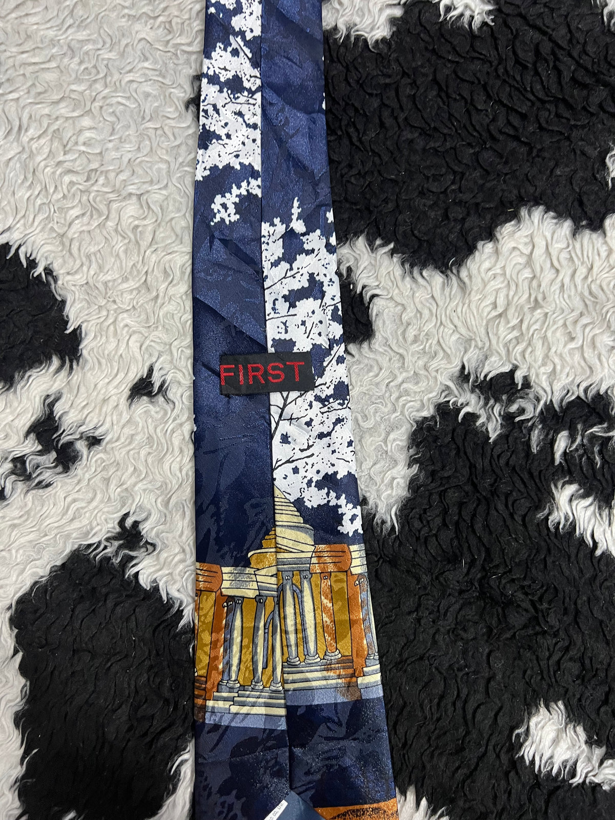 Capital Building Tie