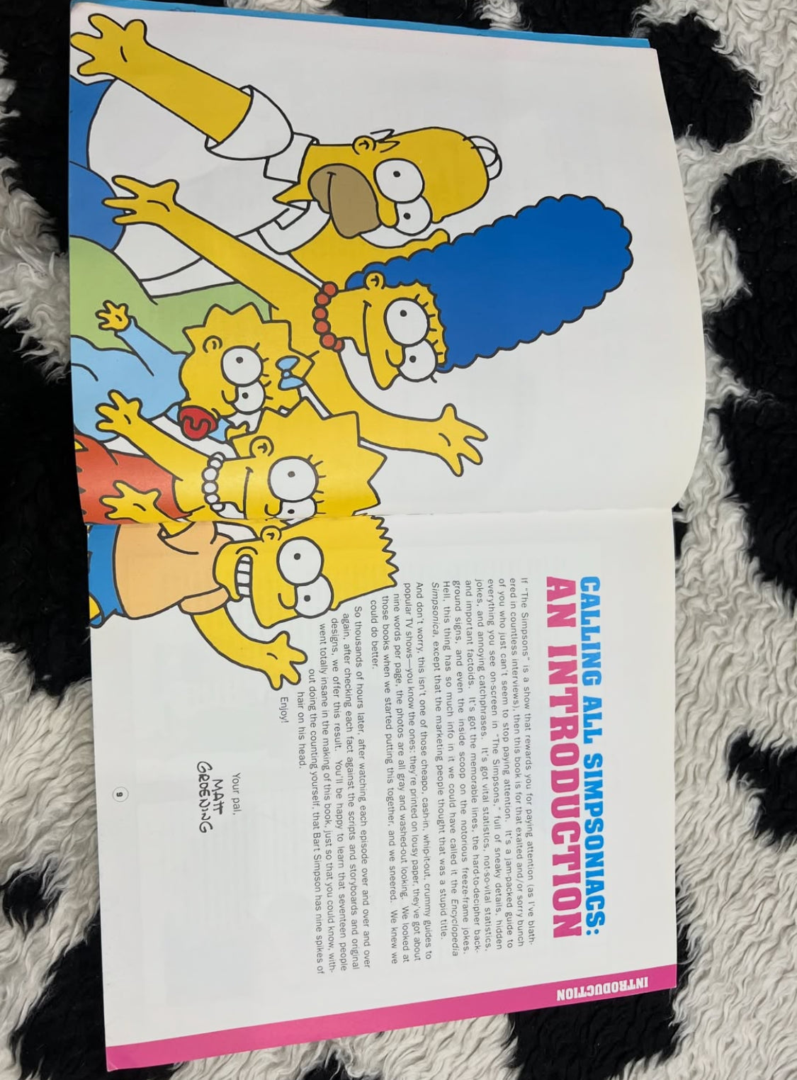 The Simpsons Guide Book