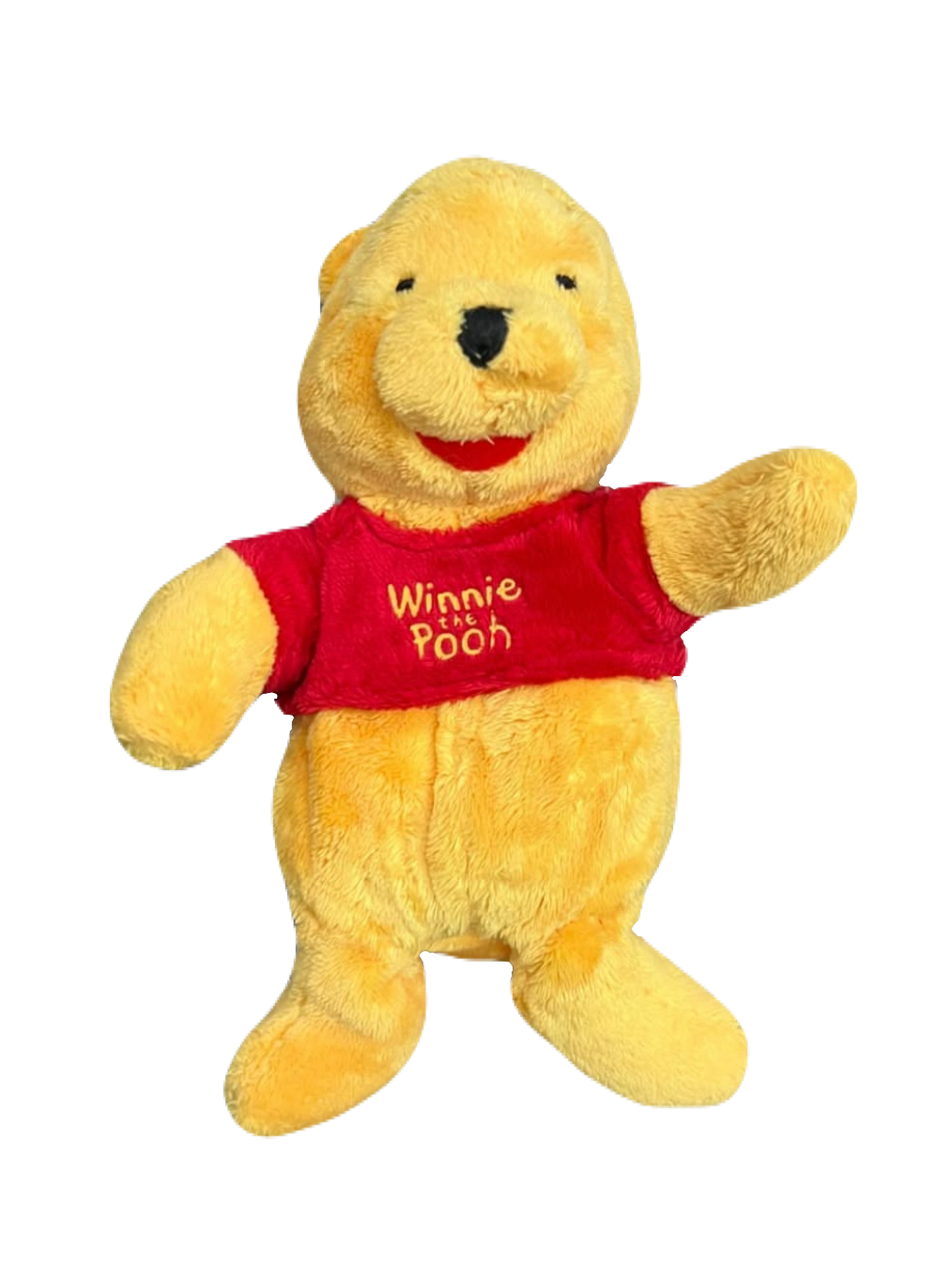 Winnie The Pooh Plush