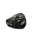 Circular Lion Black Ring