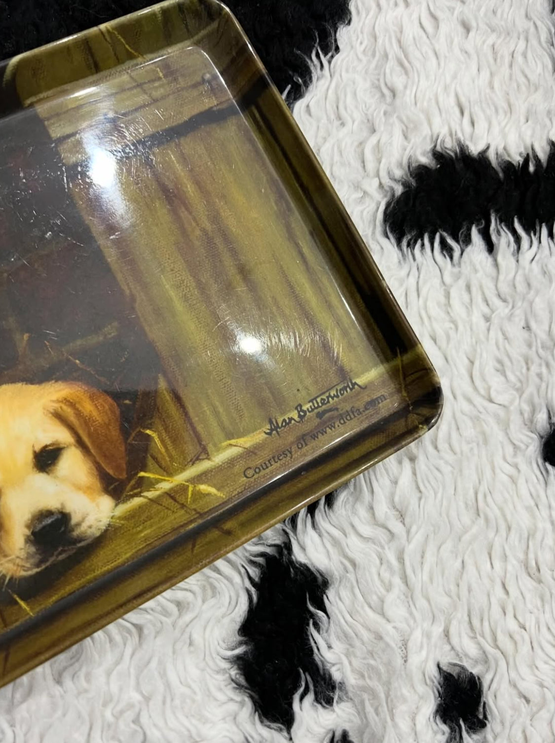 Alan Butterworth Long Dog Tray