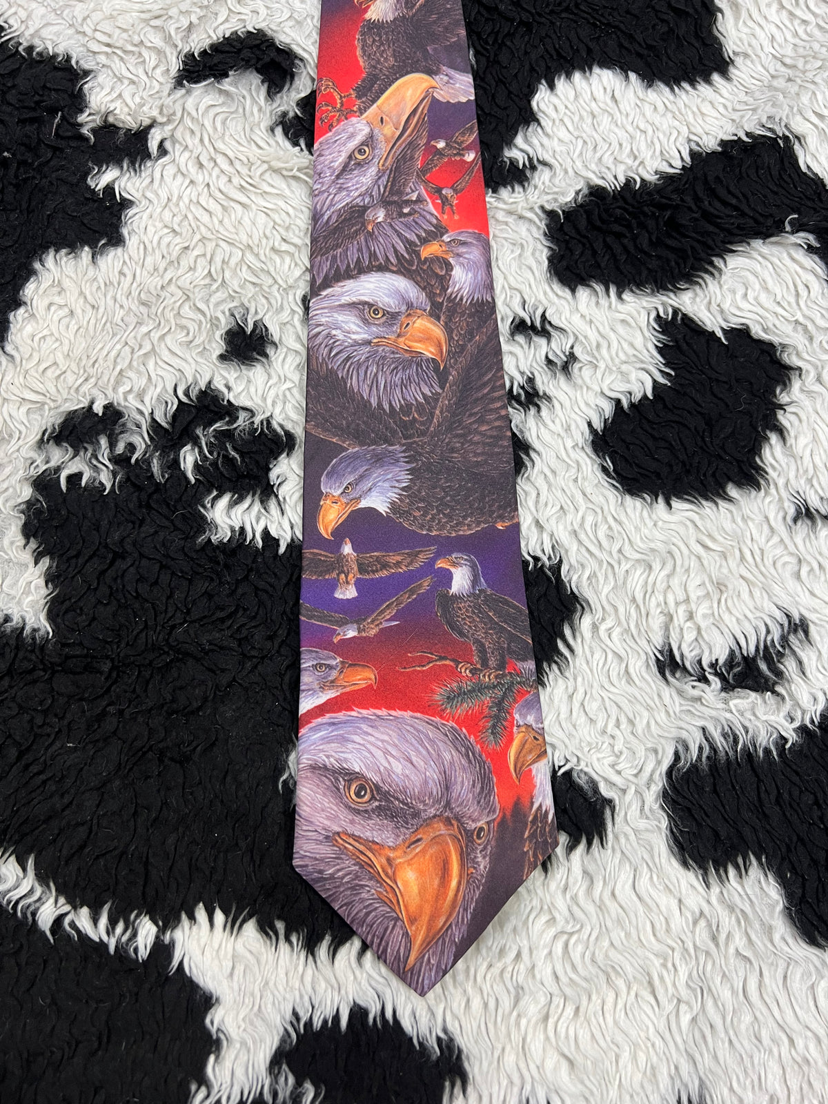 Eagles Graphic Tie