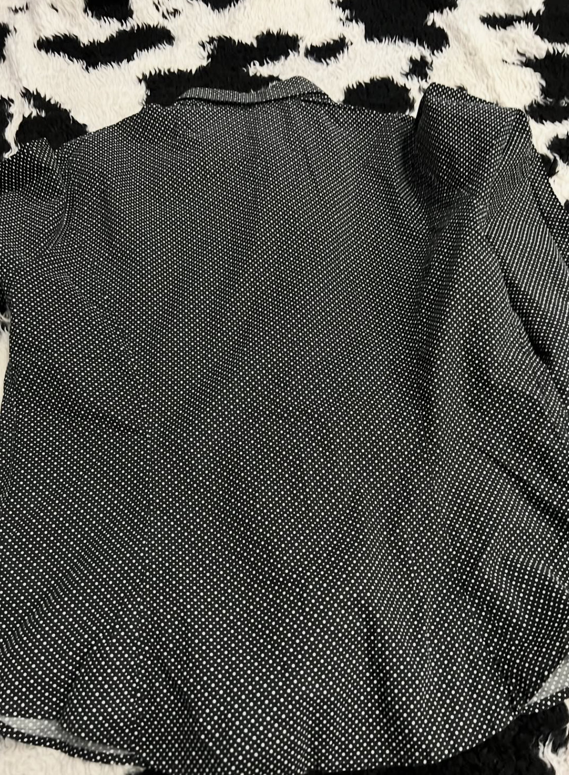 TM Lewins Black Dotted Women's Buttonup