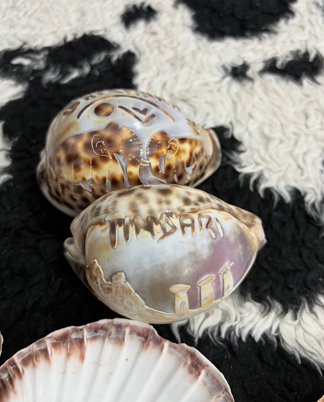 Set of 3 Vintage Carved Seashells