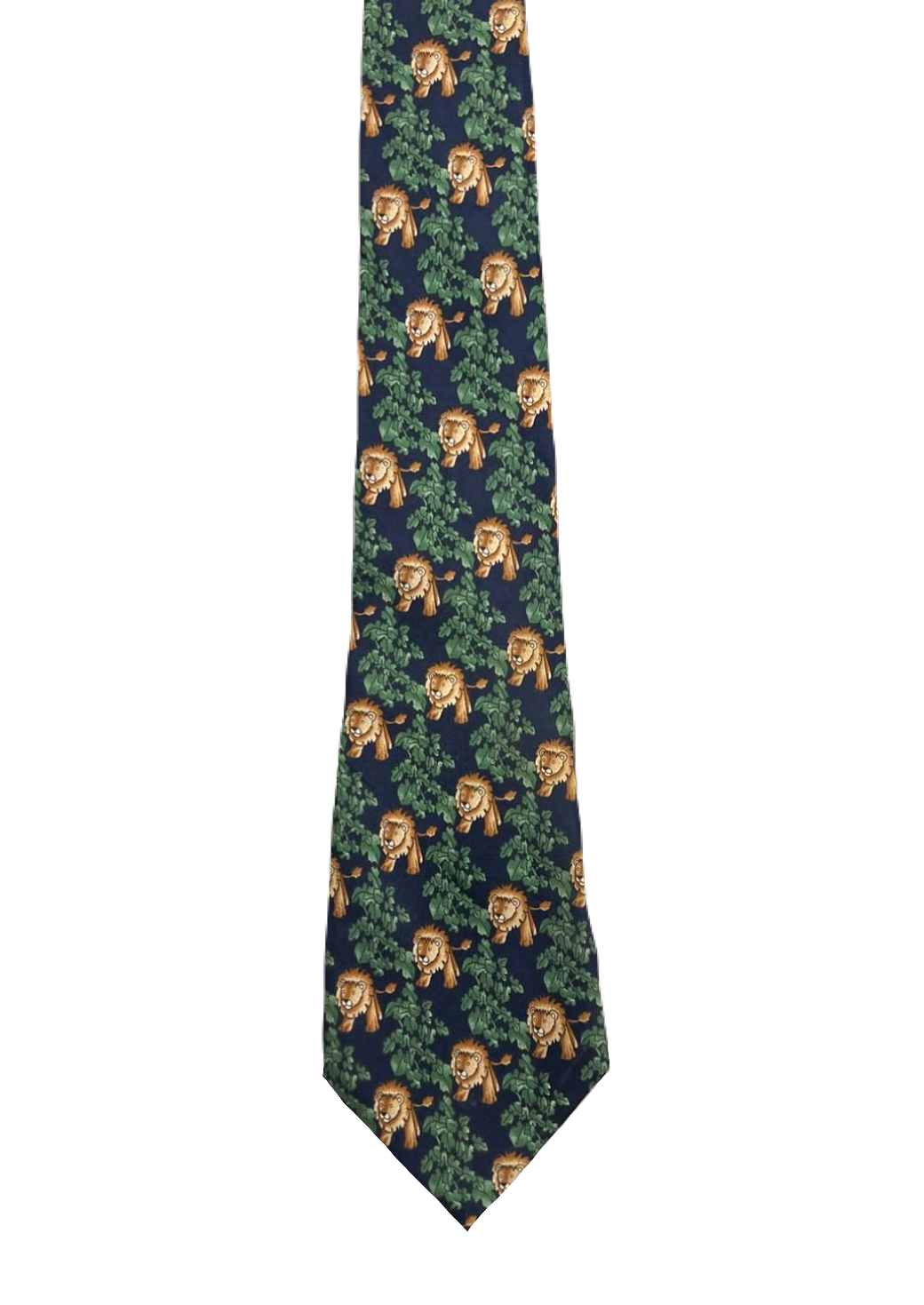 CANDA Lions Tie
