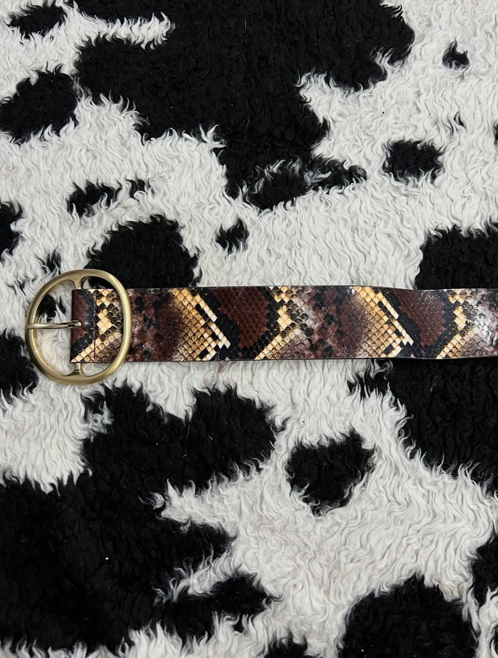 Snake-Skin Wide Belt