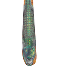 Vintage 1988 Alligator Tie