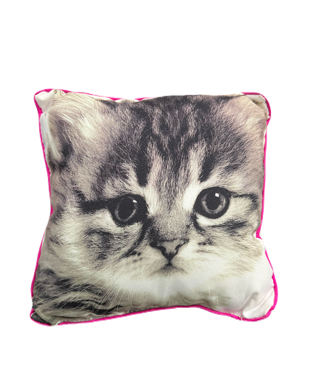 Kitty Graphic Pillow
