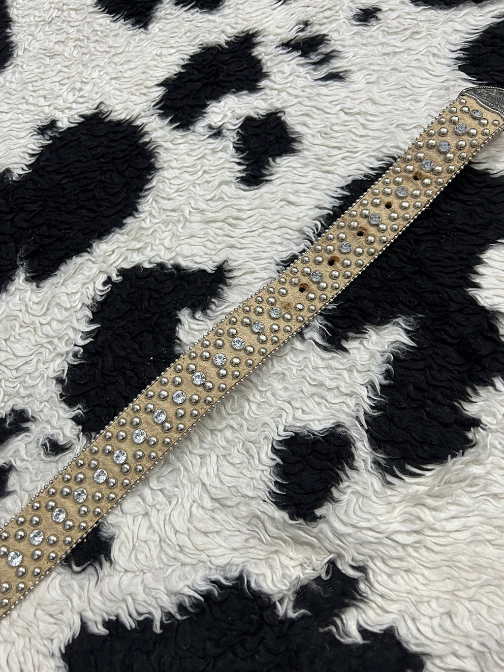 Cream-Colored Studded Belt