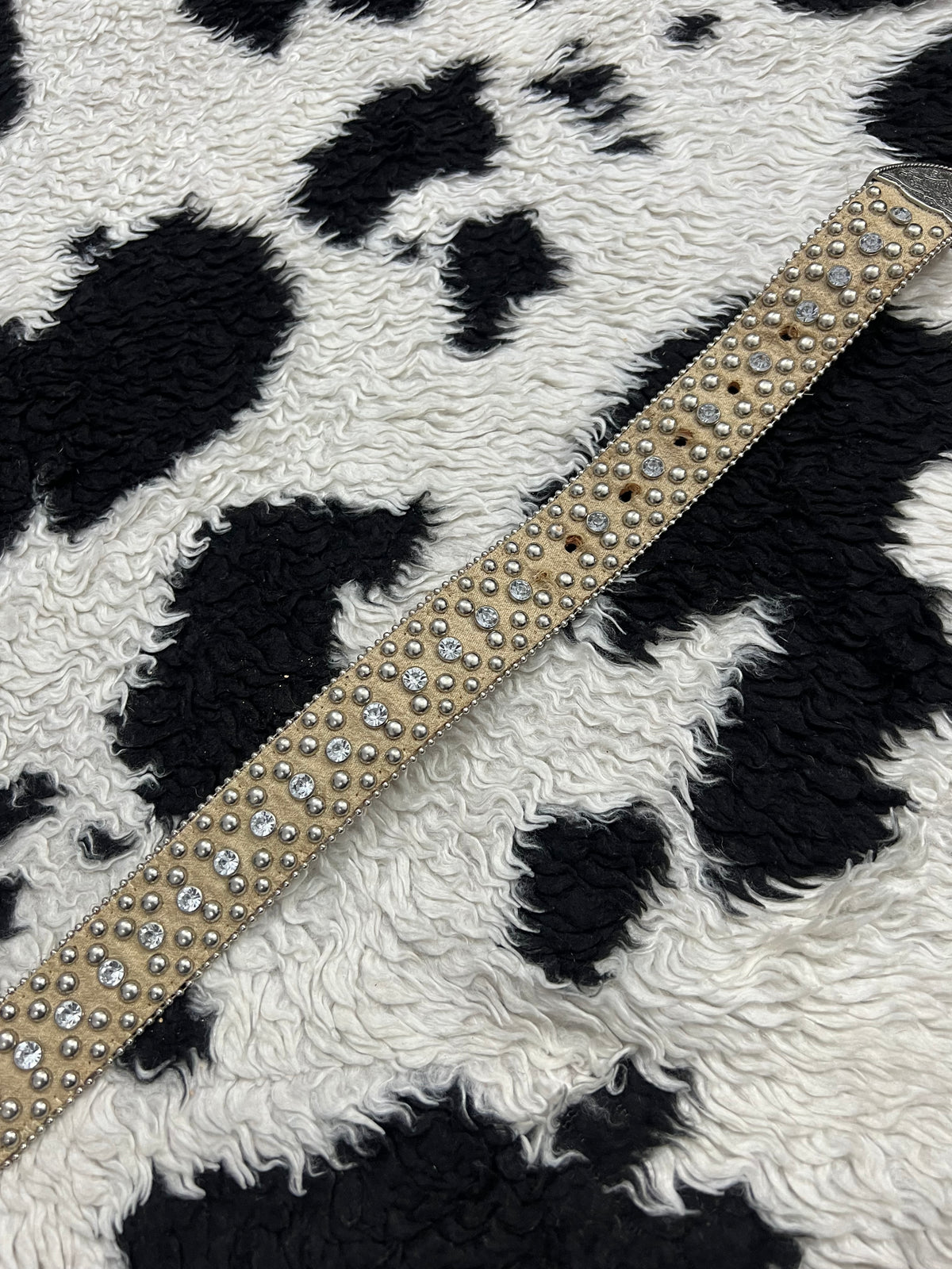 Cream-Colored Studded Belt