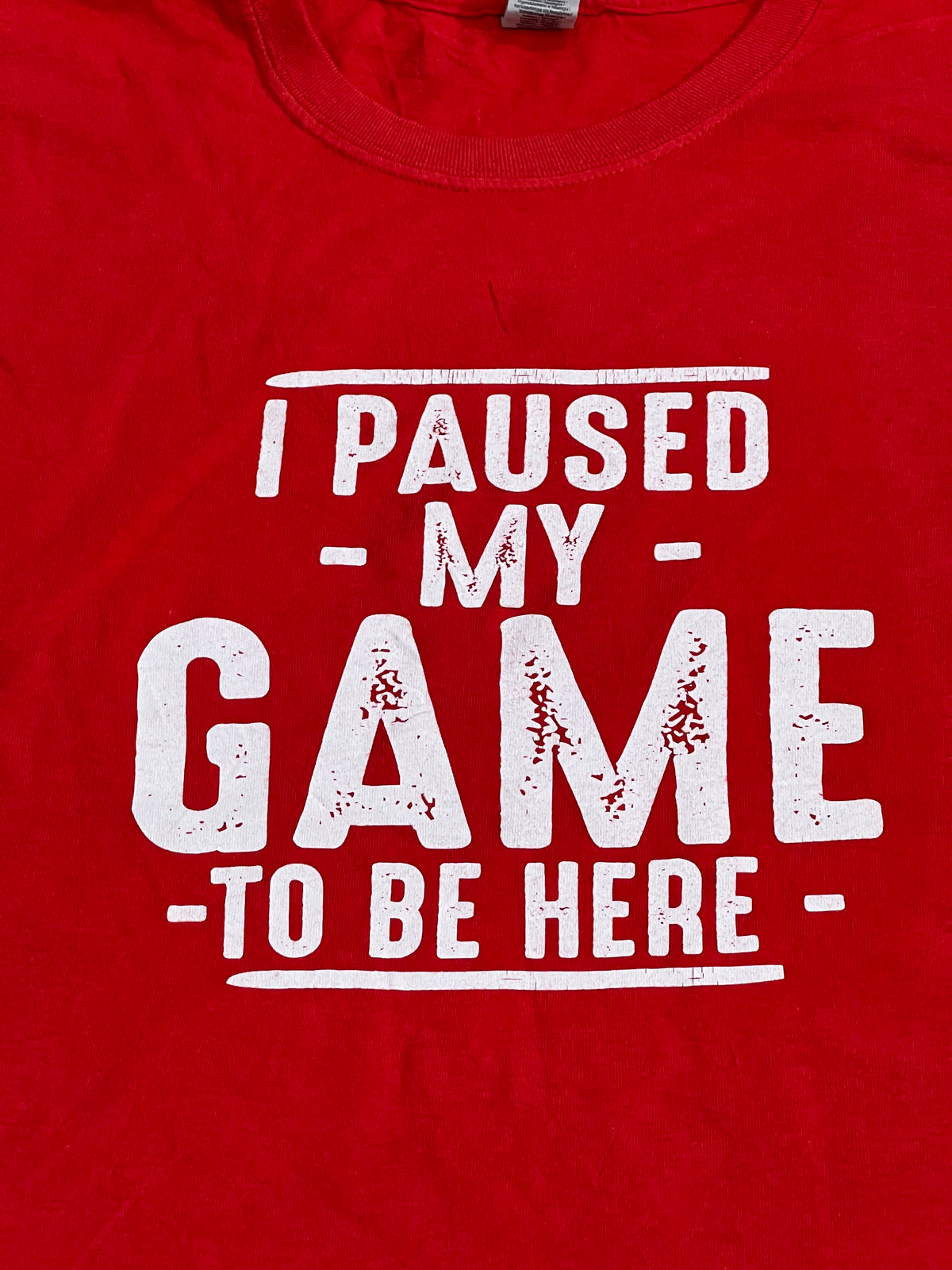"I Paused My Game To Be Here" Tee (Medium - Large)