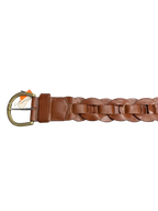 Interlinked Circular Belt