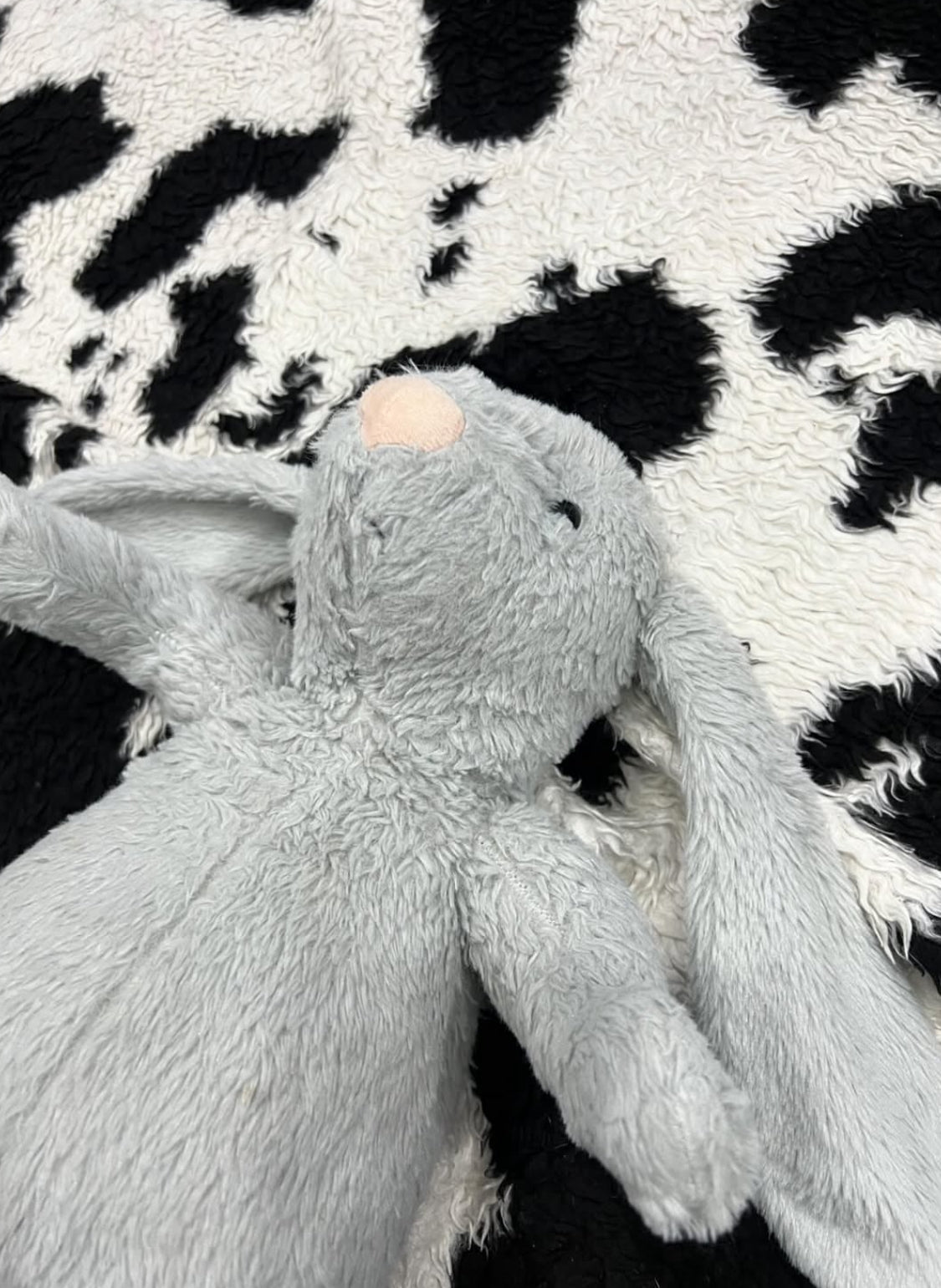 Jellycat Duplicate Bashful Bunny Plush