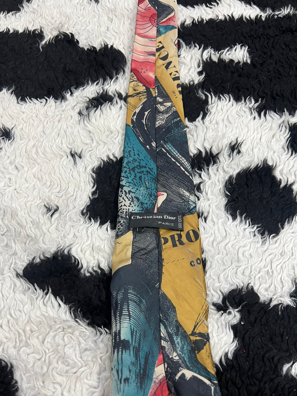 Christian Dior Tie