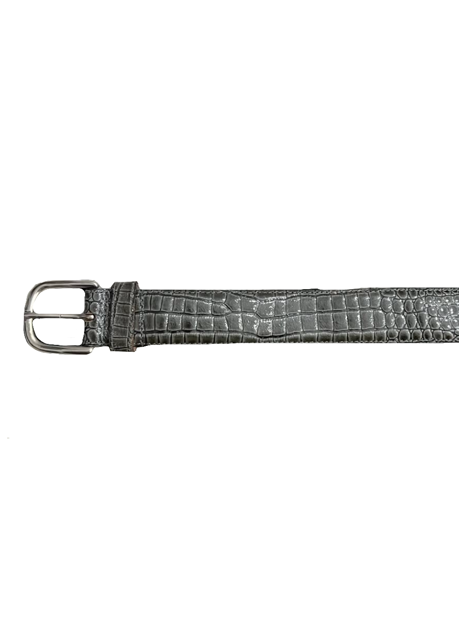 Grey Scaled Narrow Belt