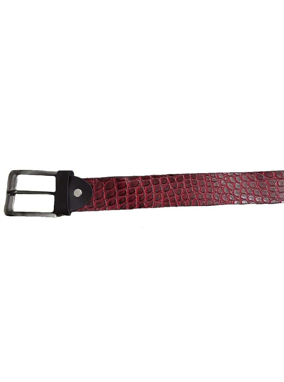 Snake-skin Scaled Belt