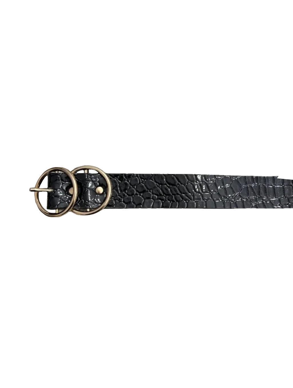 Black Snake Skin Scaled Belt